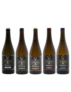 Sortiment von 5 Flaschen Mead Valhalla